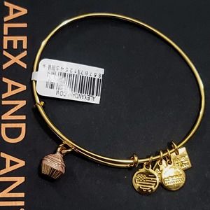 Alex And Ani Cupcake Charm Bracelet
